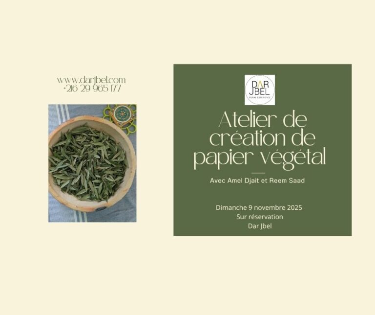 atelier de création de papier végétal à partir de feuilles d'olives à Dar Jbel