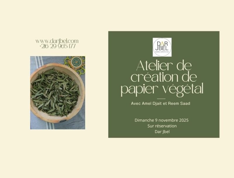 atelier de création de papier végétal à partir de feuilles d'olives à Dar Jbel