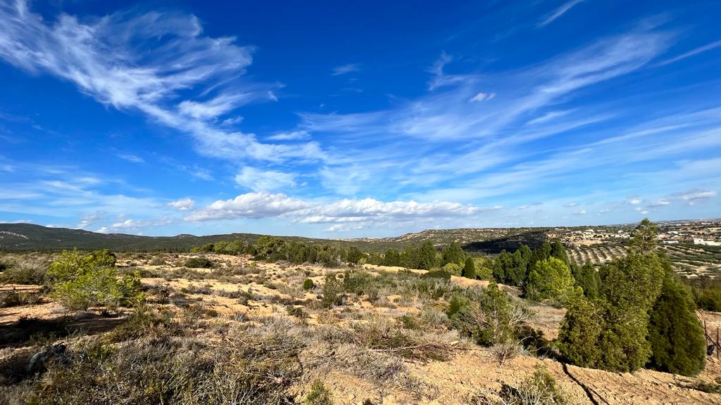 randonner autour de Hammamet et à 45 mns de Tunis c'est possible a Dar Jbel. On part a pied pour découvrir la plaine, les ghroffs et surtout se déconnecter du téléphone.