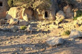 Ghroff oued lassoued; randoneé, dar jbel, deconnecetr , rando, marche, pique nique, respirer , slow liofe, grand air, marcher autour de tunis, randonée hammamet