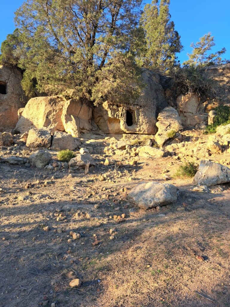 Ghroff oued lassoued; randoneé, dar jbel, deconnecetr , rando, marche, pique nique, respirer , slow liofe, grand air, marcher autour de tunis, randonée hammamet