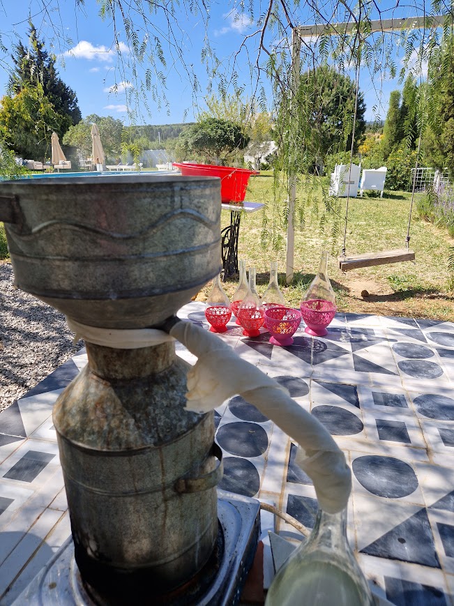 expérience immersive Tunisie
hospitalité responsable
économie territoriale
artisanat tunisien
gastronomie tunisienne
Académie Nationale de Cuisine
littérature culinaire tunisienne
développement rural Tunisie
destination méditerranéenne durable
tourisme expérientiel