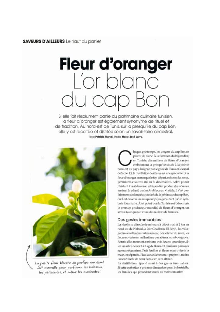 zhar , neroli, fleurs d'orangers, neroli,
